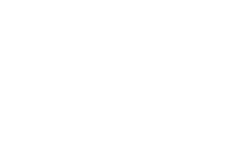 logo nsa